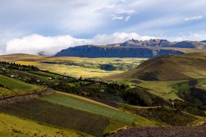 Labranza de conservación en ladera Arado y laboreo en ladera
