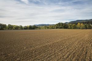 Tierra labrada Arado y laboreo