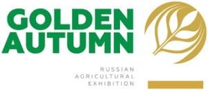 Золотая Осень, Golden Autumn Золотая Осень, Golden Autumn