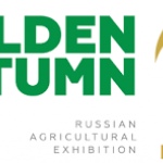 Золотая Осень, Golden Autumn Золотая Осень, Golden Autumn